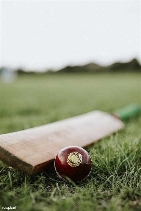 Cricket bat and ball on green grass | premium image by rawpixel.com ...