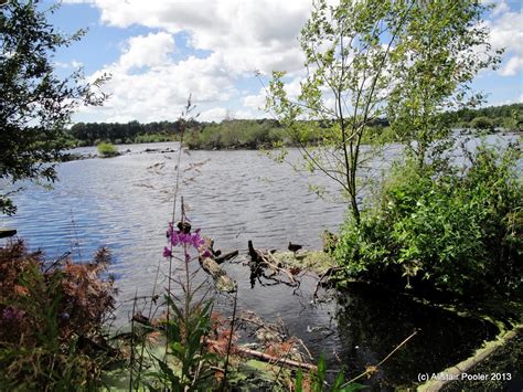 Alistair's Walks: Delamere Forest