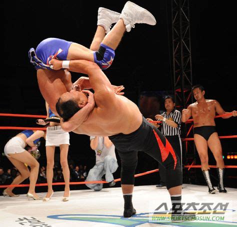 19 Korean Pro Wrestling!! ideas | pro wrestling, wrestling, korean