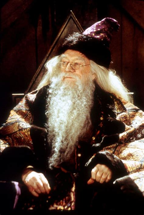 Richard Harris as Albus Dumbledore in Harry Potter | Alvo Dumbledore em ...