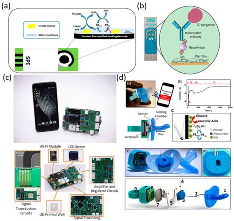 Biosensors | Special Issue : Smart, Connected, and Portable Biosensors and Bioelectronics for ...