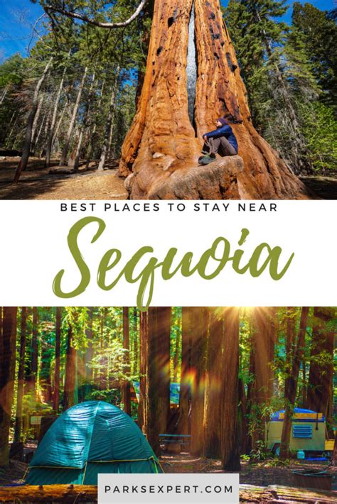 Sequoia National Park Lodging: Best Places to Stay in 2024