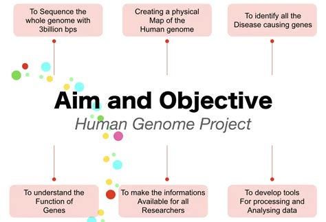 The Human Genome Project: Aims, Objectives, Techniques and Outcomes