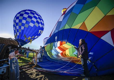 Are Dogs Allowed At Albuquerque Ballon Festival