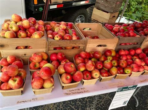 These 35 Farmers Markets Are Still Open for the Season