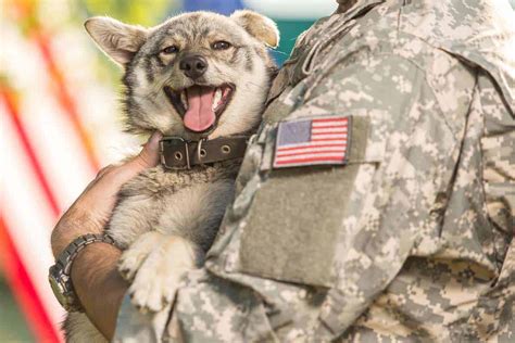 Pets For Veterans - Voorhees Animal Orphanage