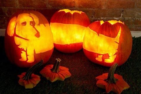 Halloween Crafts | Dog pumpkin, Dachshund, Halloween pumpkins carvings