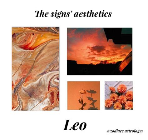 The signs' aesthetics - Leo | Astrology leo, Zodiac signs horoscope, Leo zodiac