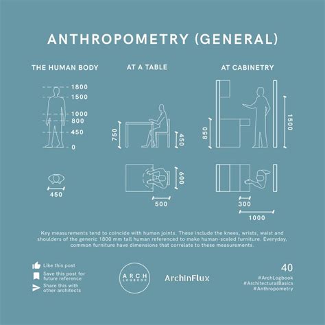 Anthropometry of Living Spaces (Infographic)