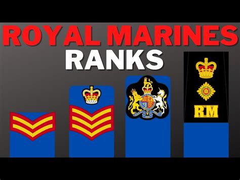 Royal Navy Ranks Explained - Infoupdate.org