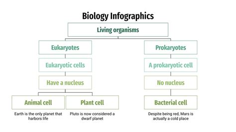 Biology Infographics | Google Slides & PowerPoint template