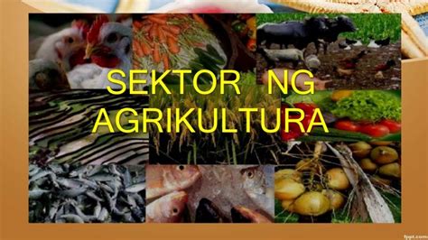 Sektor ng agrikultura