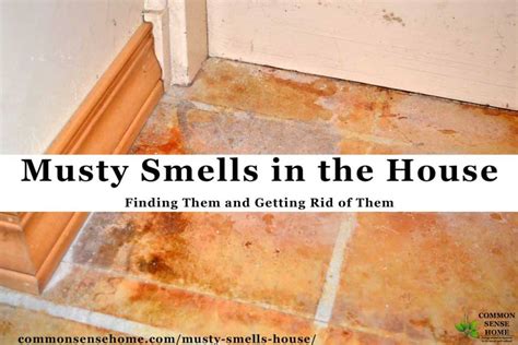 Musty Smells in the House - Finding Them and Getting Rid of Them