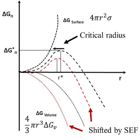 (PDF) Supercooling preservation technology in food and biological ...