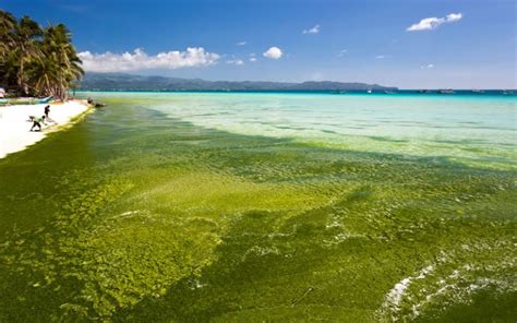 Water Pollution Philippines