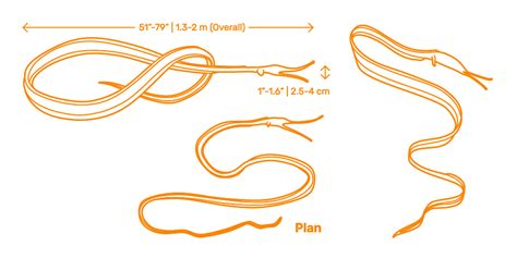 Slender Snipe Eel (Nemichthys scolopaceus) Dimensions & Drawings ...