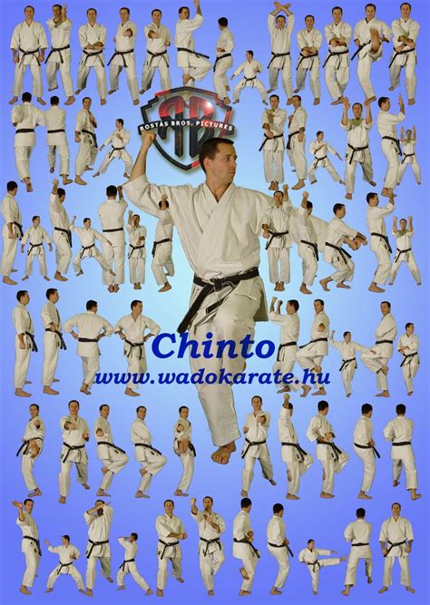 Chinto | Karate martial arts