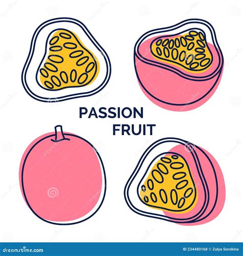 Passion Fruit Logo. Passiflora Tropical Fruit Icon Set. Collection of Exotic Fruit from Outline ...