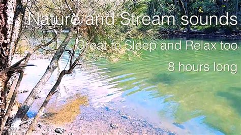 Real Nature and Flowing Stream Sounds, Great for Sleeping and Relaxing ...