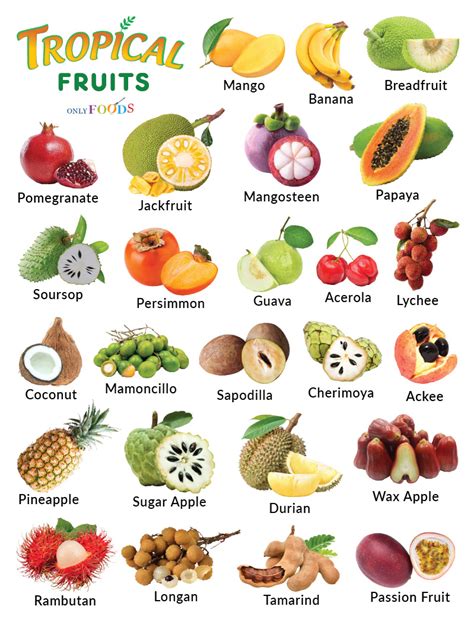 List of Tropical Fruits With Pictures