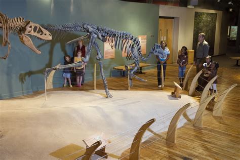 Dinosaur Gallery at SC State Museum