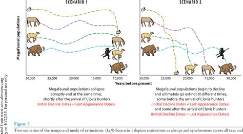 Pleistocene Overkill and North American Mammalian Extinctions | Semantic Scholar