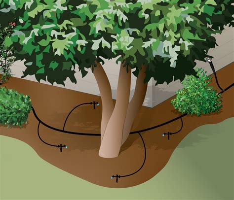 Irrigation Drip System Setup at Nigel Hartman blog