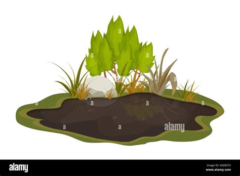 Dirty mud puddle, swamp with stone, grass in cartoon style isolated on ...