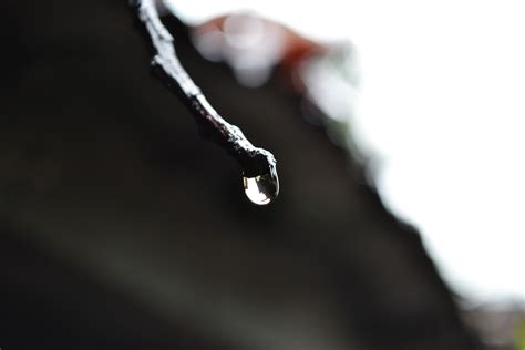 Free Images : hand, nature, water drop, chain, black, rain drop, close up, jewellery, sri lanka ...