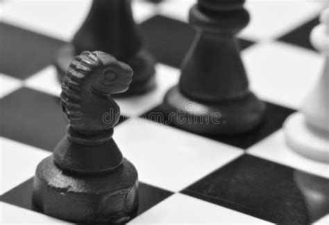 Checkmate stock photo. Image of business, king, travel - 52813020