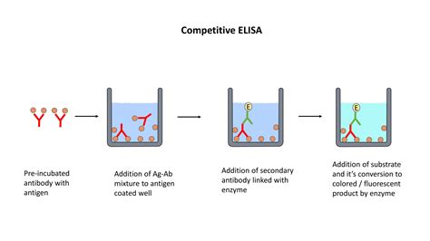 ELISA (Enzyme-Linked Immunosorbent Assay) - The Science Bistro