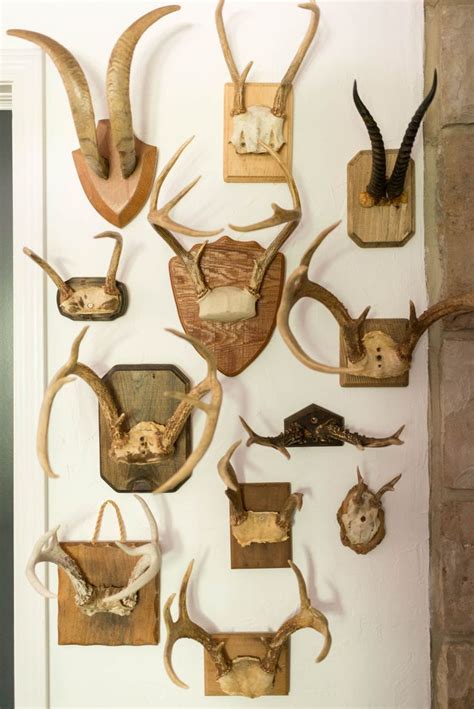 Modern Foyer Reveal | Antler wall decor, Modern antler decor, Antler wall