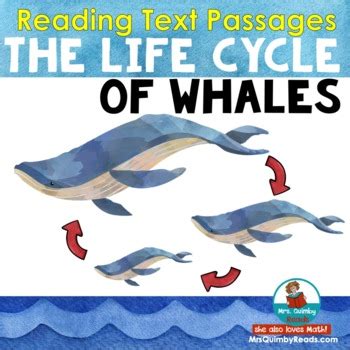 Life Cycle of Whales | Text Passages | Anchor Chart | Distance Learning