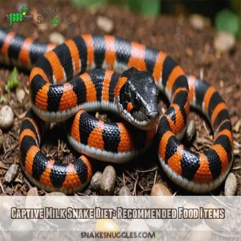 What Do Milk Snakes Eat? 10 Shocking Prey Items You Won't Believe!