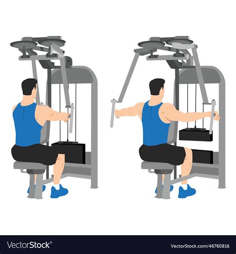 Man doing rear delt machine flyes exercise Vector Image