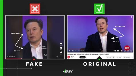 Elon Musk deepfake goes viral after Donald Trump Twitter return | verifythis.com