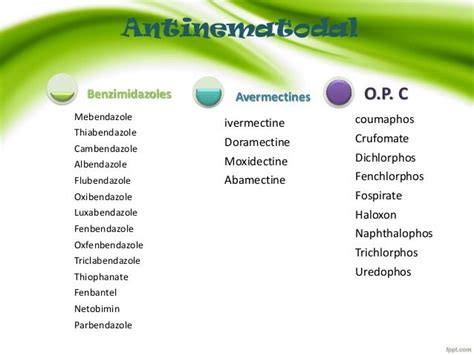 Classification of antiparasitic drugs