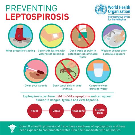 Leptospirosis-Signs, Symptoms, Complicstions And Treatment