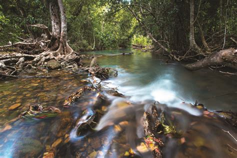 Travel the Wet Tropics World Heritage Area - Australian Geographic