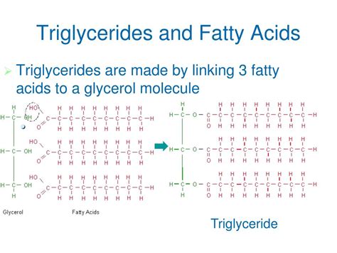 PPT - CH 3: The Molecules of Cells PowerPoint Presentation, free ...