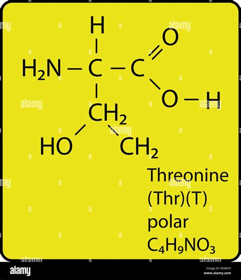 Threonine Amino Acid Molecule Skeletal Structure Stock Vector Image & Art - Alamy