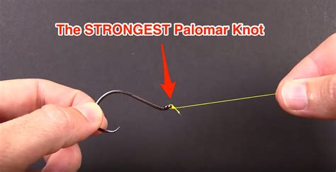 How To Tie The STRONGEST Palomar Knot Possible Using Braided Line ...