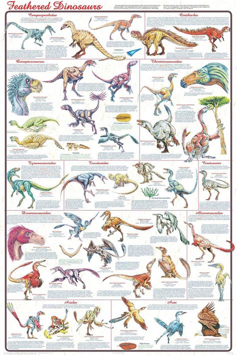 Feathered Dinosaurs (Laminated Poster)