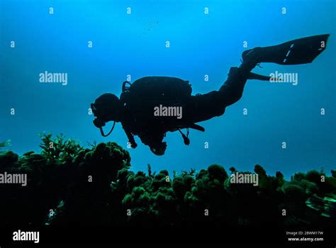 Scuba diving, diving, shipwreck Stock Photo - Alamy