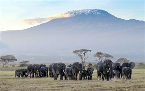 5 Things to Do at Amboseli National Park - Kenya Geographic