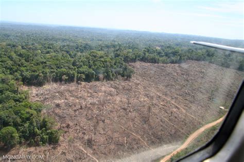 Clear-cutting in the Amazon rainforest as viewed overhead by plane