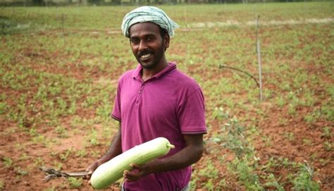 In the quest of Organic farming in Tamil Nadu