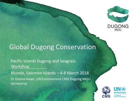 Global Dugong Conservation - ppt download