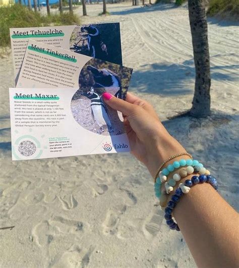 Fahlo Wildlife Tracking Bracelets- Penguin – Modern Me Boutique