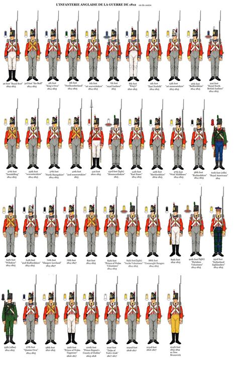 Uniforms of British regiments in the War of 1812 | British Napoleonic ...